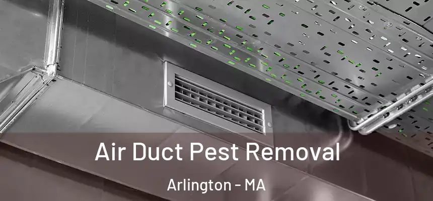  Air Duct Pest Removal Arlington - MA