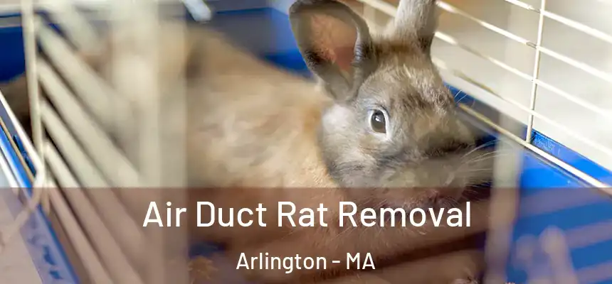  Air Duct Rat Removal Arlington - MA