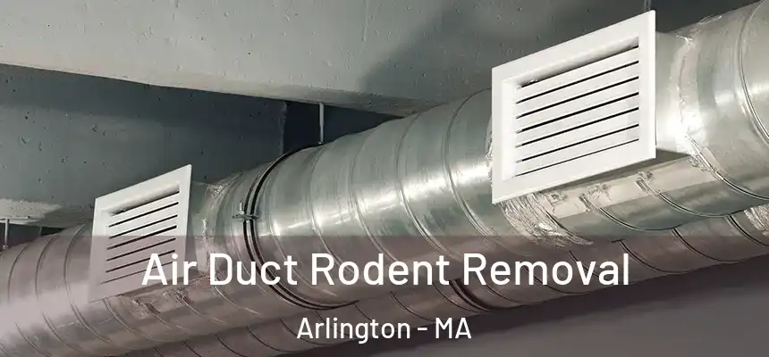 Air Duct Rodent Removal Arlington - MA