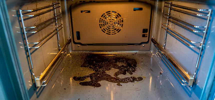 Our Dryer Vent Mold Cleaning Services in Arlington, MA