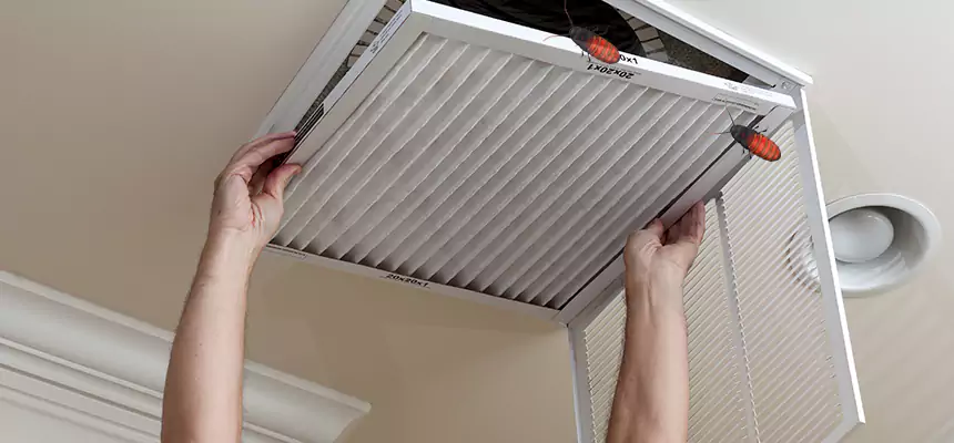 Our Insect Removal from Air Ducts Services in Arlington, MA