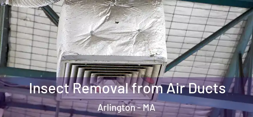  Insect Removal from Air Ducts Arlington - MA