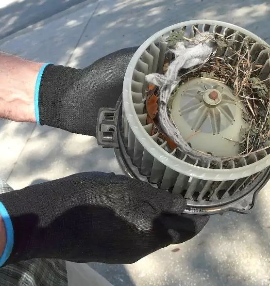 About Air Duct Mice Removal in Arlington, MA